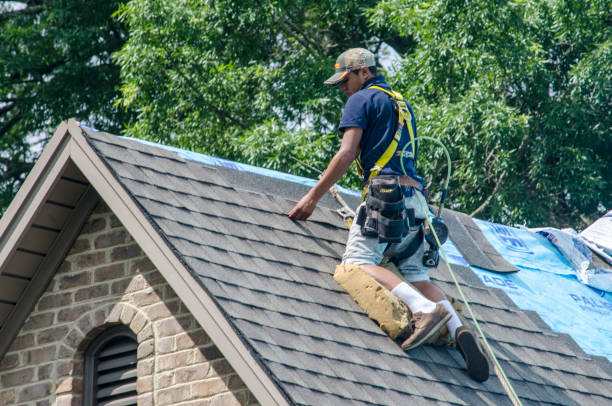 Best Roof Gutter Cleaning  in Sparta, TN